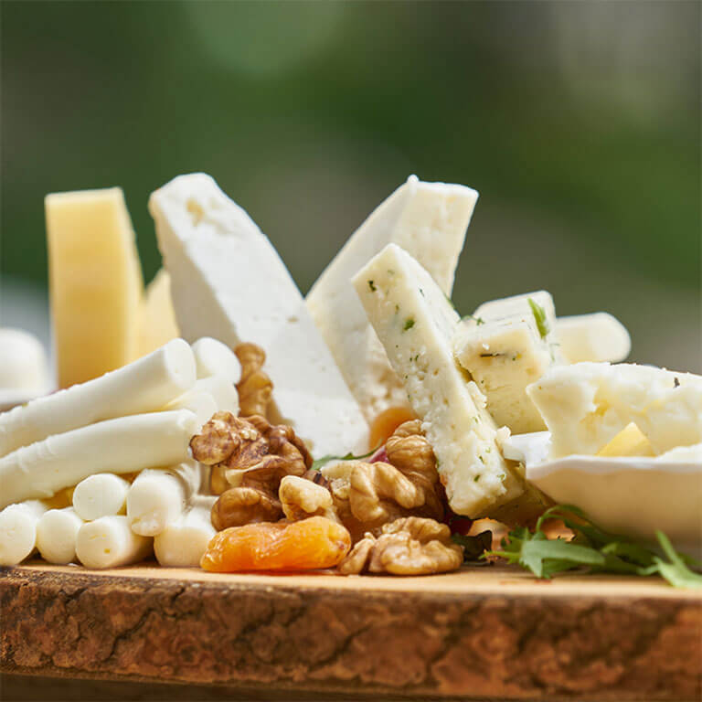 İşte Peynir Üretim Tesisi Kurmak İçin Tüm Bilmeniz Gerekenler